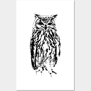 Owl Posters and Art